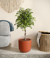 Load image into Gallery viewer, Earth Red