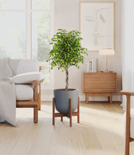 Load image into Gallery viewer, Iron Gray stand:walnut