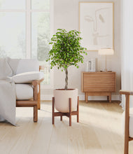 Load image into Gallery viewer, Sandy Pink stand:walnut