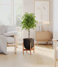 Load image into Gallery viewer, Stone Black stand:bamboo