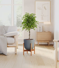 Load image into Gallery viewer, Iron Gray stand:bamboo