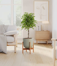 Load image into Gallery viewer, Sage Green stand:bamboo