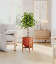 Load image into Gallery viewer, Earth Red stand:bamboo