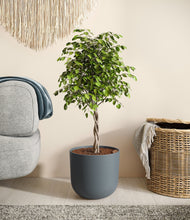 Load image into Gallery viewer, Iron Gray