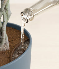 Load image into Gallery viewer, Iron Gray stand:all