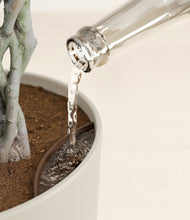 Load image into Gallery viewer, Natural Bamboo stand:all