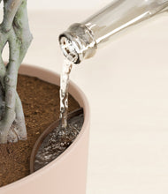 Load image into Gallery viewer, Sandy Pink stand:all