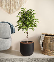 Load image into Gallery viewer, Stone Black