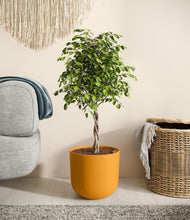 Load image into Gallery viewer, Sunset Orange