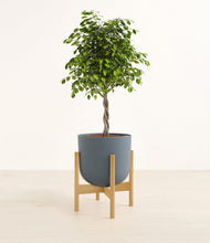 Load image into Gallery viewer, Iron Gray stand:bamboo