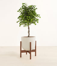 Load image into Gallery viewer, Natural Bamboo stand:walnut