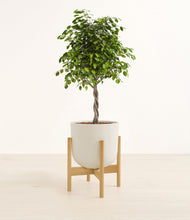 Load image into Gallery viewer, Natural Bamboo stand:bamboo