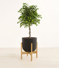 Load image into Gallery viewer, Stone Black stand:bamboo