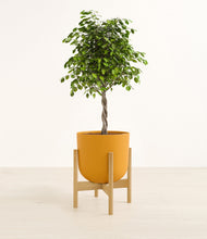 Load image into Gallery viewer, Sunset Orange stand:bamboo