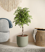 Load image into Gallery viewer, Sage Green