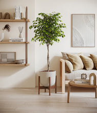 Load image into Gallery viewer, Natural Bamboo stand:walnut