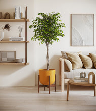 Load image into Gallery viewer, Sunset Orange stand:walnut