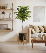 Load image into Gallery viewer, Stone Black stand:bamboo