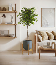 Load image into Gallery viewer, Iron Gray stand:bamboo