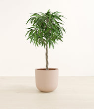 Load image into Gallery viewer, Sandy Pink*****Profile