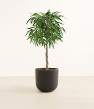 Load image into Gallery viewer, Stone Black*****Profile