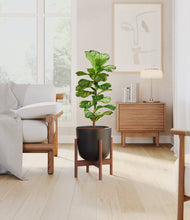 Load image into Gallery viewer, Stone Black stand:walnut