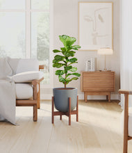 Load image into Gallery viewer, Iron Gray stand:walnut