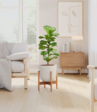 Load image into Gallery viewer, Natural Bamboo stand:bamboo