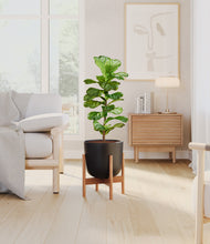 Load image into Gallery viewer, Stone Black stand:bamboo