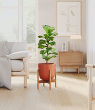 Load image into Gallery viewer, Earth Red stand:bamboo