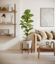 Load image into Gallery viewer, Natural Bamboo stand:walnut