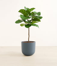 Load image into Gallery viewer, Iron Gray