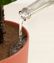 Load image into Gallery viewer, Earth Red stand:all