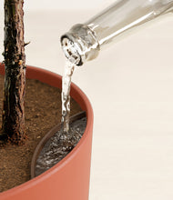 Load image into Gallery viewer, Earth Red stand:all