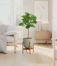 Load image into Gallery viewer, Sage Green stand:bamboo