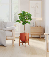 Load image into Gallery viewer, Earth Red stand:bamboo
