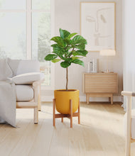 Load image into Gallery viewer, Sunset Orange stand:bamboo