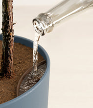 Load image into Gallery viewer, Iron Gray stand:all