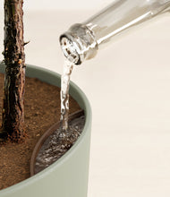 Load image into Gallery viewer, Sage Green stand:all