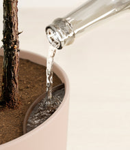 Load image into Gallery viewer, Sandy Pink stand:all