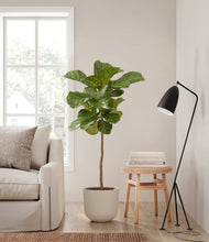 Load image into Gallery viewer, Natural Bamboo