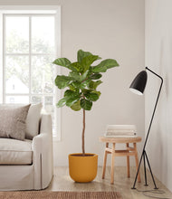 Load image into Gallery viewer, Sunset Orange