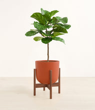 Load image into Gallery viewer, Earth Red stand:walnut