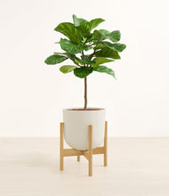 Load image into Gallery viewer, Natural Bamboo stand:bamboo