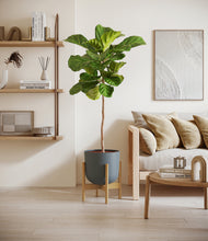 Load image into Gallery viewer, Iron Gray stand:bamboo