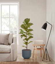 Load image into Gallery viewer, Iron Gray