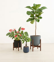 Load image into Gallery viewer, Charcoal stand:two_stands