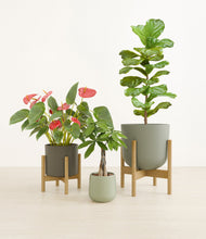 Load image into Gallery viewer, Countryside stand:two_stands