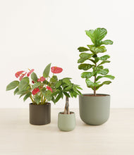 Load image into Gallery viewer, Countryside