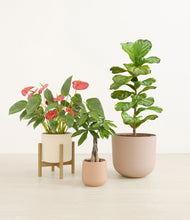 Load image into Gallery viewer, Sandy stand:one_stand